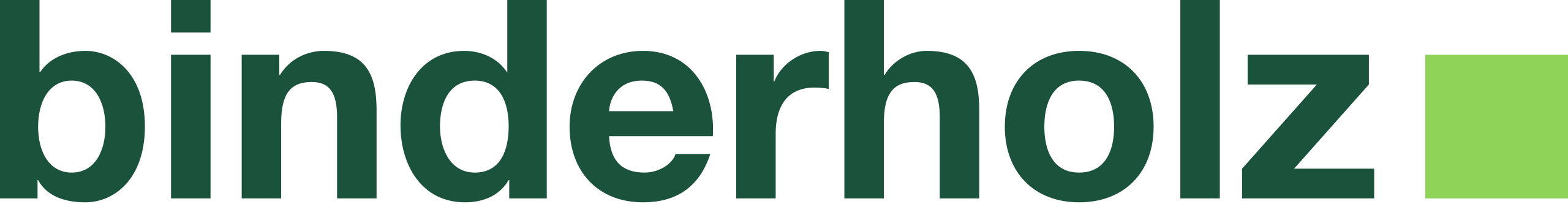 Binderholz Logo